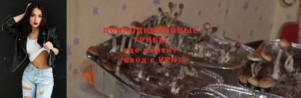 стаф Нязепетровск