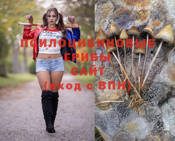 прущий лед Няндома