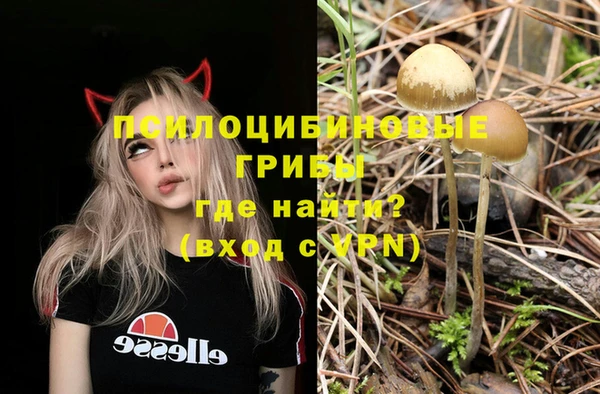 прущий лед Няндома