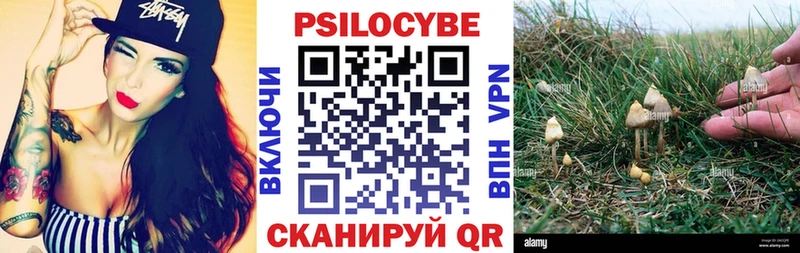 Галлюциногенные грибы Psilocybe Купить закладки Избербаш